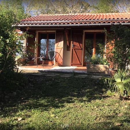 Le Gite De Gascogne Lectoure Exterior photo