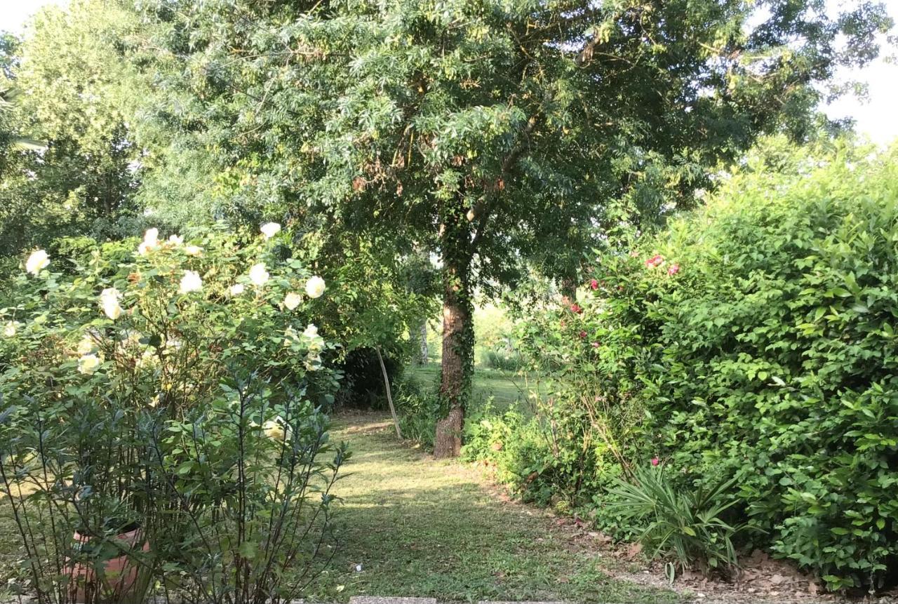 Le Gite De Gascogne Lectoure Exterior photo